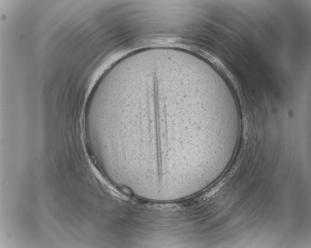 X0000053051432200508081117