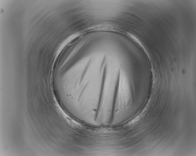 X0000053051434200508081117