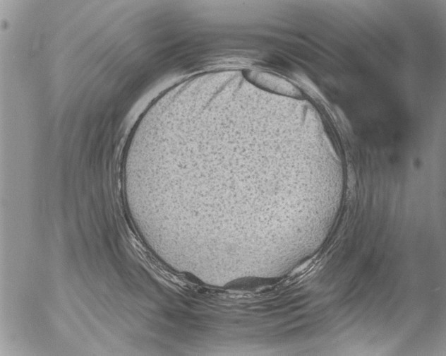 X0000053051435200508081117