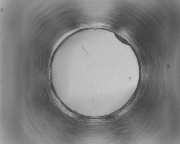 X0000053051436200508081117