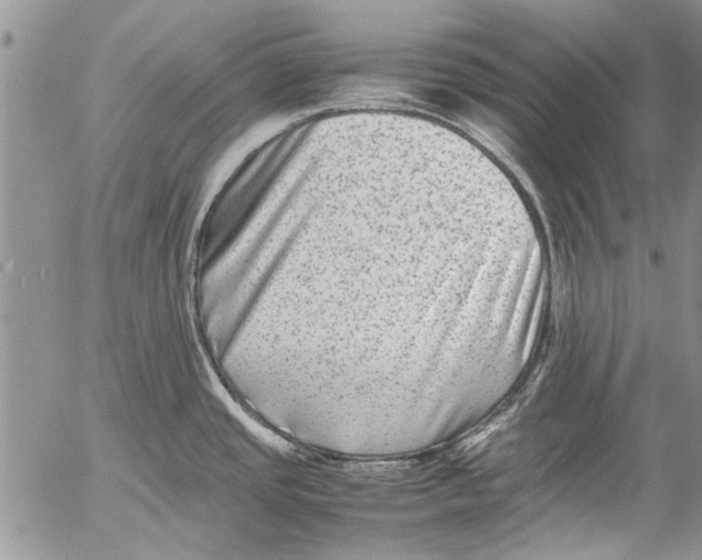 X0000053051437200508081117