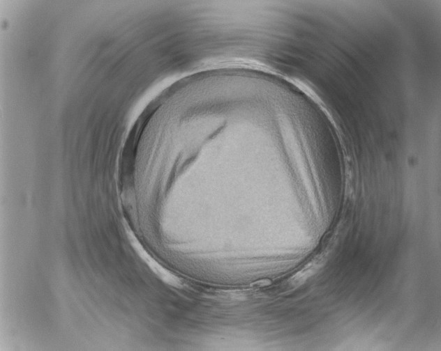 X0000053051438200508081117