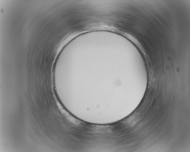 X0000053051439200508081117