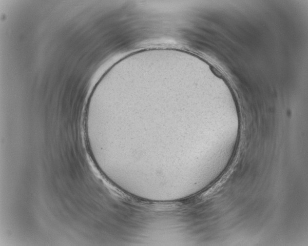 X0000053051440200508081117