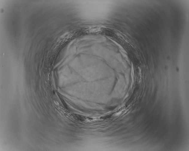 X0000053051441200508081116