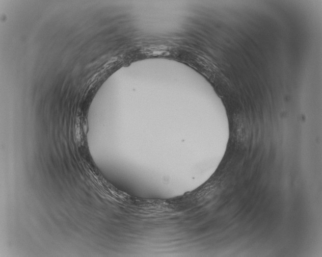 X0000053051442200508081116