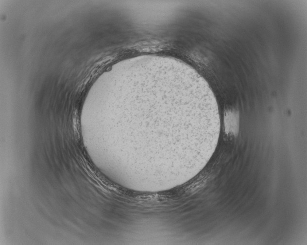 X0000053051444200508081116