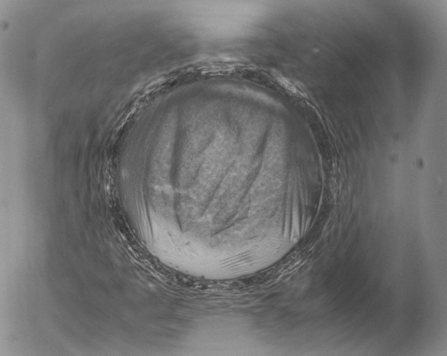 X0000053051445200508081116