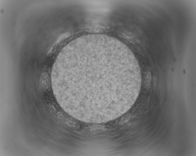 X0000053051446200508081116