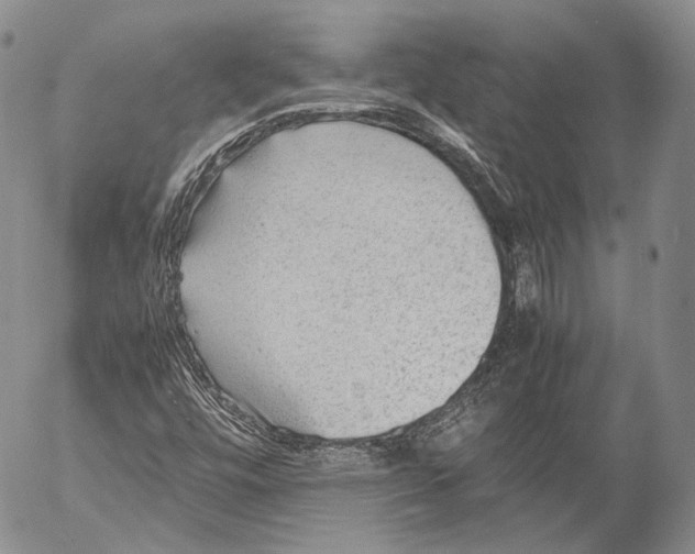 X0000053051448200508081116