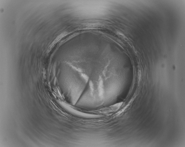 X0000053051449200508081116