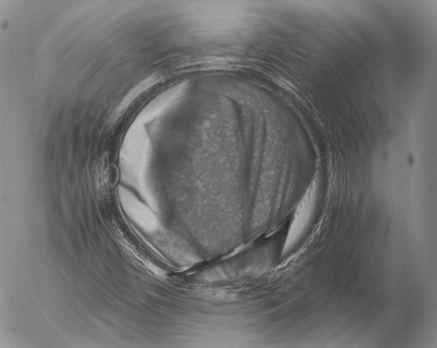 X0000053051450200508081116