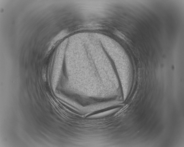 X0000053051451200508081116