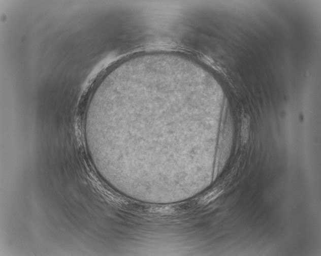 X0000053051454200508081116