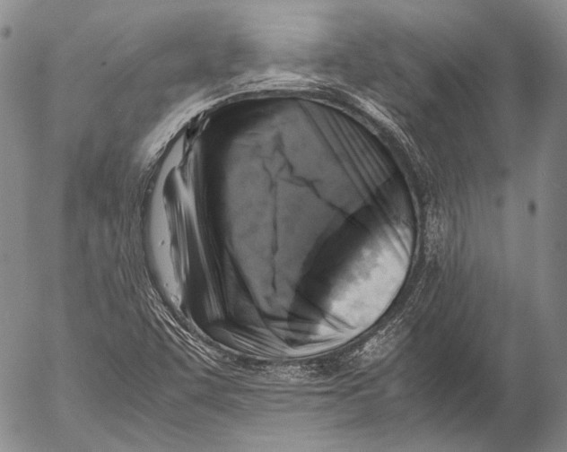 X0000053051455200508081116