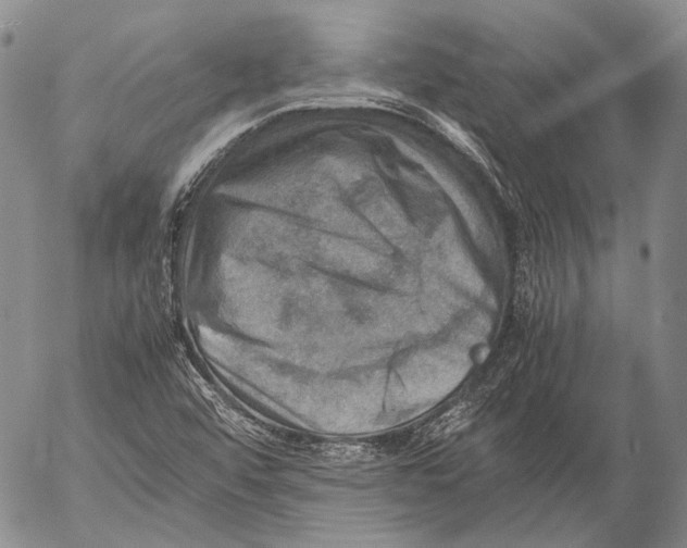 X0000053051456200508081116