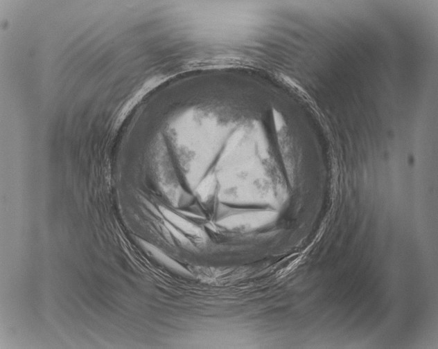 X0000053051457200508081116