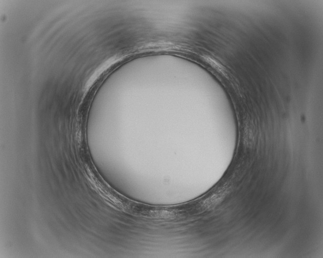 X0000053051458200508081116