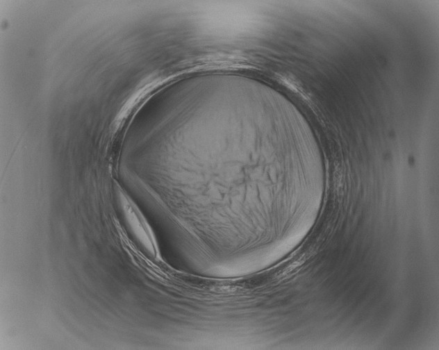 X0000053051459200508081116