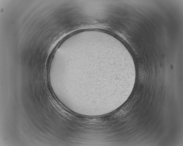 X0000053051460200508081116