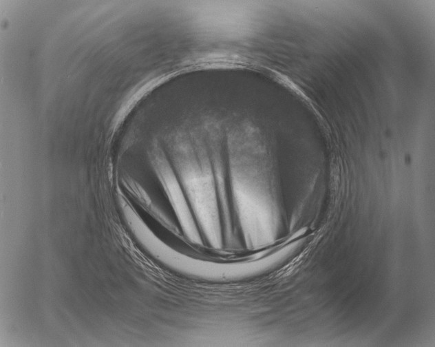 X0000053051461200508081116