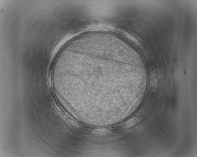 X0000053051462200508081116