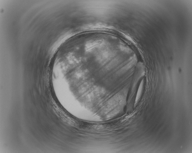 X0000053051463200508081116