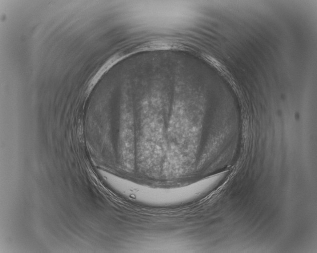 X0000053051465200508081116