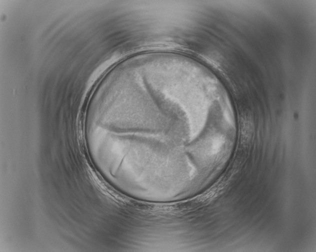 X0000053051466200508081116