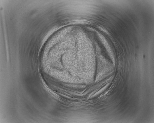 X0000053051467200508081116