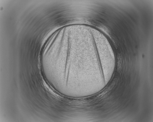 X0000053051468200508081116