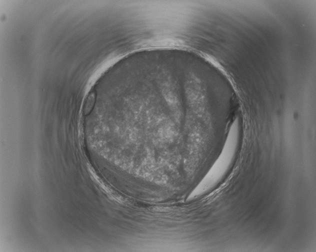 X0000053051469200508081116