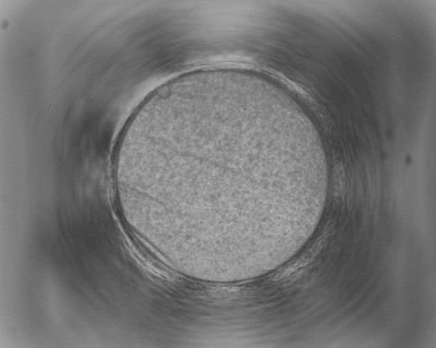 X0000053051470200508081116