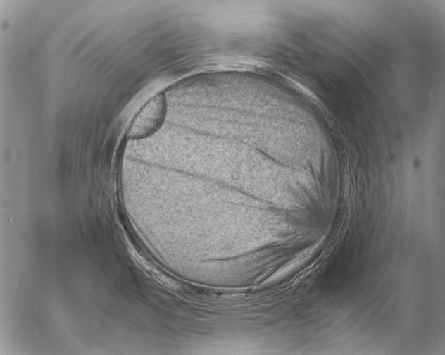 X0000053051471200508081116