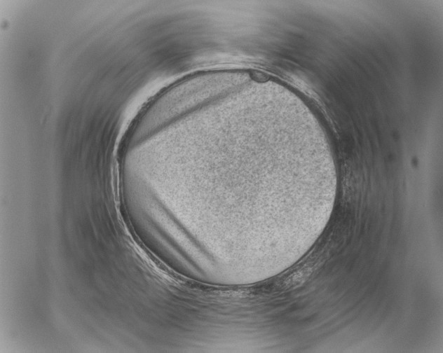 X0000053051472200508081116