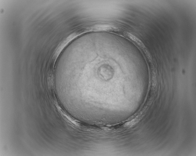 X0000053051473200508081116