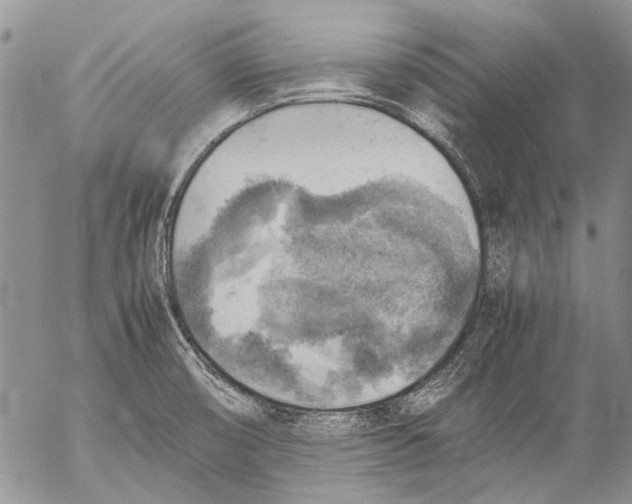 X0000053051474200508081116