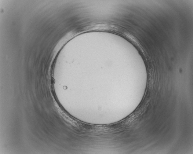 X0000053051475200508081116