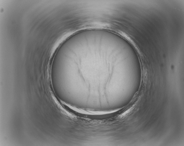 X0000053051477200508081116