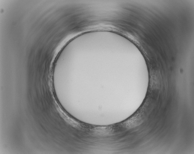 X0000053051478200508081116