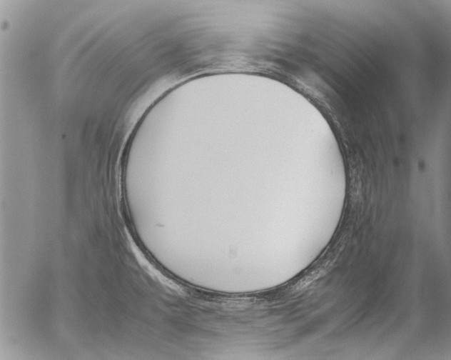 X0000053051479200508081116