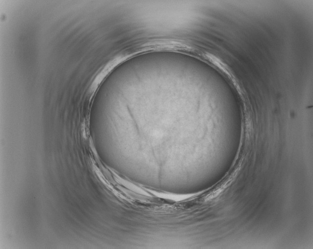 X0000053051481200508081116