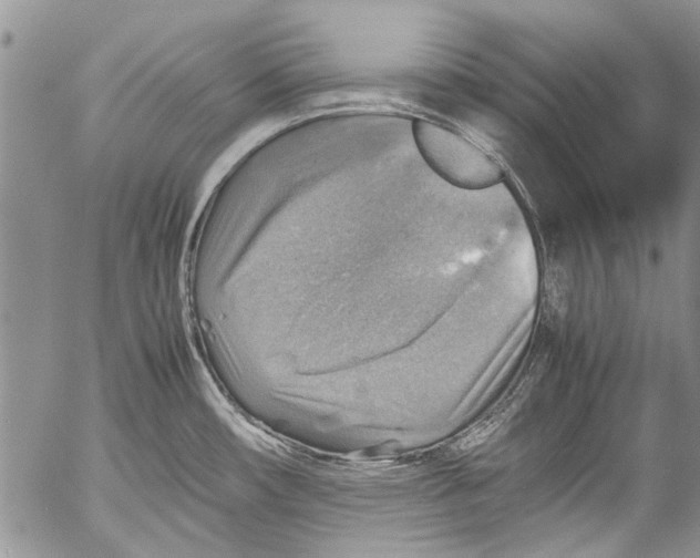 X0000053051482200508081116