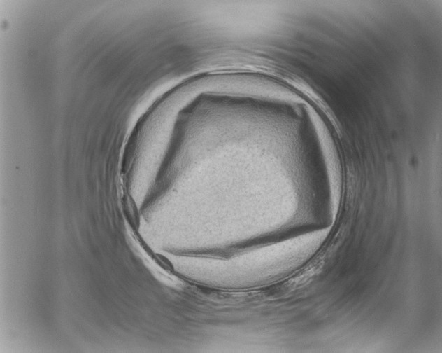 X0000053051485200508081116