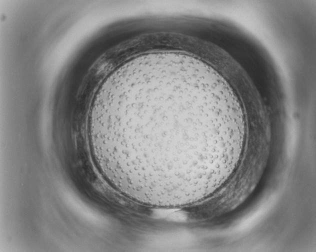 X0000053051487200508081116