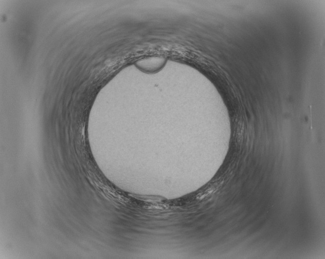 X0000053051489200508081115