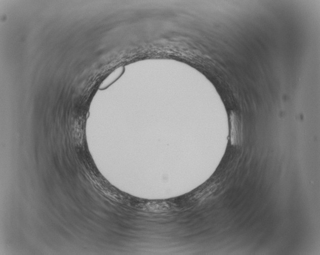 X0000053051491200508081115