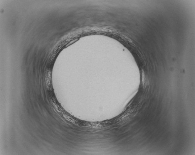 X0000053051492200508081115