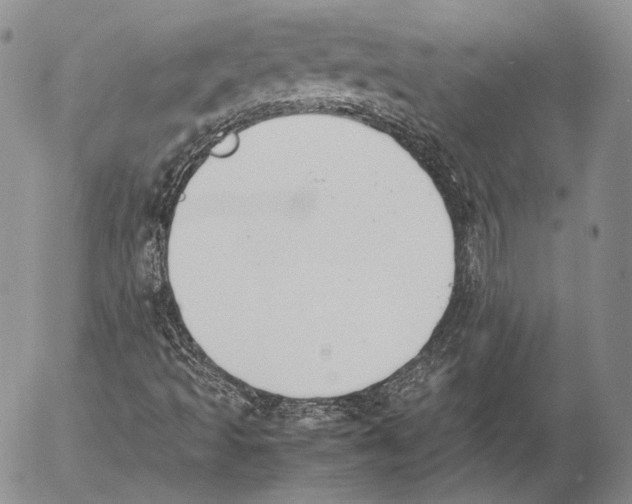 X0000053051493200508081115