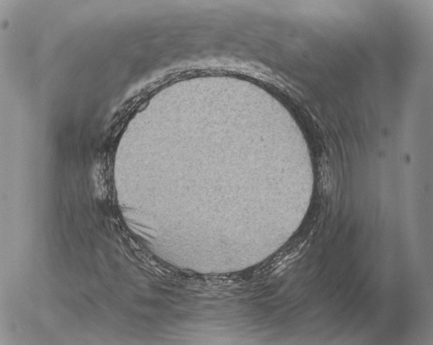 X0000053051494200508081115